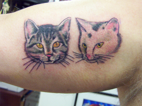 Looking for unique  Tattoos? cats
