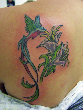 Looking for unique  Tattoos? humming bird on the shoulder