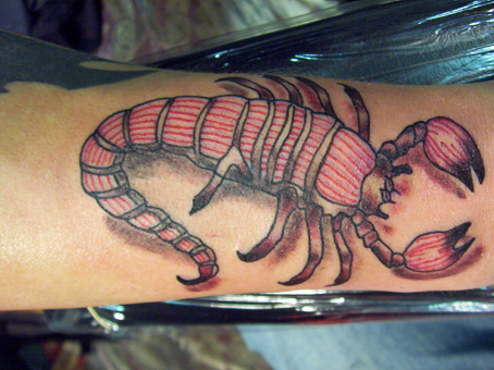 Looking for unique  Tattoos? scorpion