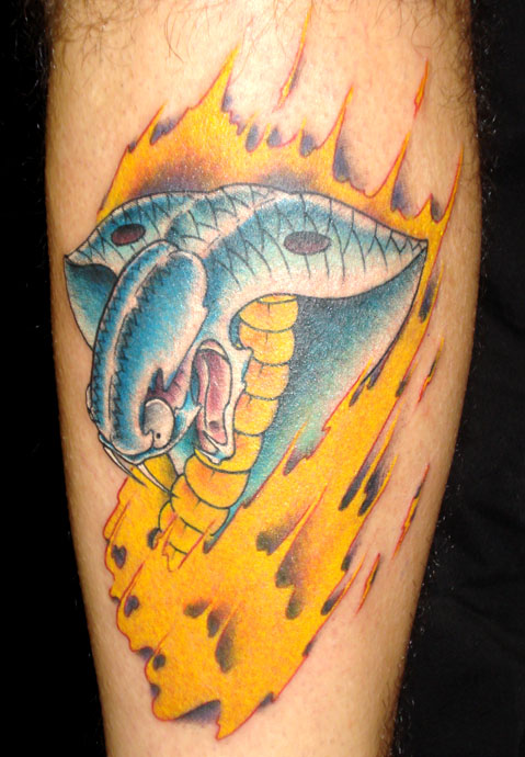 Looking for unique Anthony Riccardo Tattoos?  Cobra