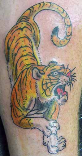 Looking for unique  Tattoos? Tiger