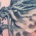 tattoo galleries/ - Dragon done at 