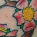 tattoo galleries/ - Cherry Bloosom - 25840