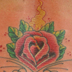 tattoo galleries/ - rose with pinstriping - 14175
