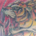 tattoo galleries/ - pheonix v. tiger - 17311