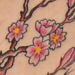 tattoo galleries/ - sakura giving tree