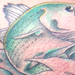 tattoo galleries/ - Fish - 27960