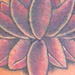 tattoo galleries/ - Lotus Cover Up