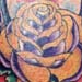 Rich DePue Tattoo Galleries: Horseshoe and Rose design