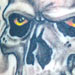 Rich DePue Tattoo Galleries: Bearded Skull design