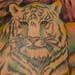 Rich DePue Tattoo Galleries: White Tiger design