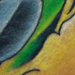 tattoo galleries/ - Pirate Parrot!!