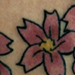 tattoo galleries/ - Cherry Blossom Tattoo