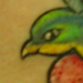tattoo galleries/ - Bird and Heart Tattoo