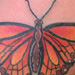 tattoo galleries/ - Butterfly Tattoo