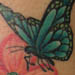 tattoo galleries/ - Butterfly with Flowers Tattoo