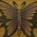 tattoo galleries/ - Butterfly Tribal Tattoo