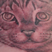 tattoo galleries/ - cat portrait tattoo