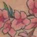 tattoo galleries/ - Cherry Blossom Branch