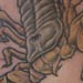 tattoo galleries/ - scorpion tattoo