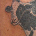 tattoo galleries/ - Cow Tattoo