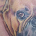tattoo galleries/ - Dog Portrait Tattoo