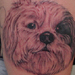 tattoo galleries/ - dog portait tattoo