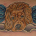 tattoo galleries/ - Dog with Wings Tattoo