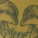 tattoo galleries/ - Dolphin Heart Tattoo