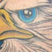 tattoo galleries/ - Eagle with Flag Tattoo