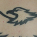 tattoo galleries/ - Eagle Tribal Tattoo