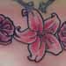 tattoo galleries/ - Lily and Roses Tattoo