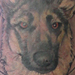tattoo galleries/ - German Shepard Tattoo