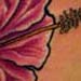 tattoo galleries/ - Hibiscus Flower Tattoo