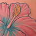 tattoo galleries/ - Hibiscus Tattoo