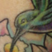 tattoo galleries/ - Hummingbird with Flowers  Tattoo