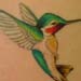 tattoo galleries/ - Hummingbird Tattoo