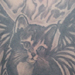 tattoo galleries/ - kitten with wings back tattoo