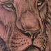 tattoo galleries/ - lion portrait tattoo
