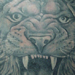 tattoo galleries/ - Lion Tattoo