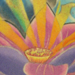 tattoo galleries/ - Lotus Flower Tattoo
