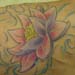 tattoo galleries/ - Lotus Flower