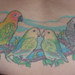 tattoo galleries/ - parrot lower back tattoo
