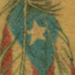 tattoo galleries/ - puerto rico feather tattoo