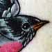 tattoo galleries/ - Robin