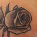 tattoo galleries/ - Rose Tattoo