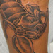 tattoo galleries/ - Scorpion Tattoo