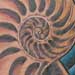tattoo galleries/ - Seashell Tattoo