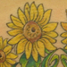 tattoo galleries/ - Sunflower Tattoo