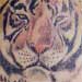 tattoo galleries/ - Tiger Tattoo